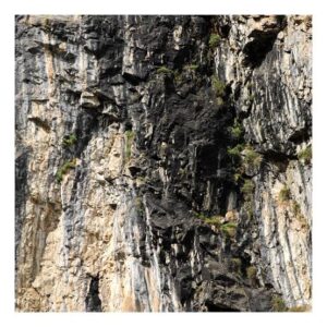 Shilajit – Salajeet