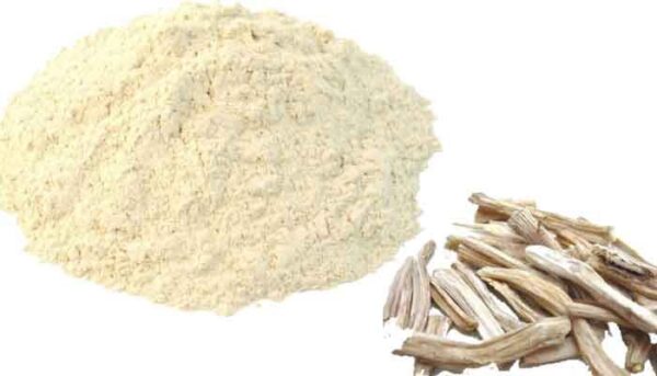 Satawar – Shatavari (Powder) - Image 2