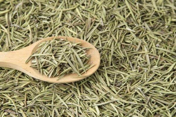 Rosemary - Image 3