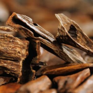 Oud – Agarwood